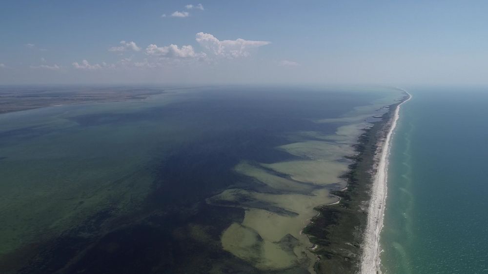 Photograph by Игорь Квочка