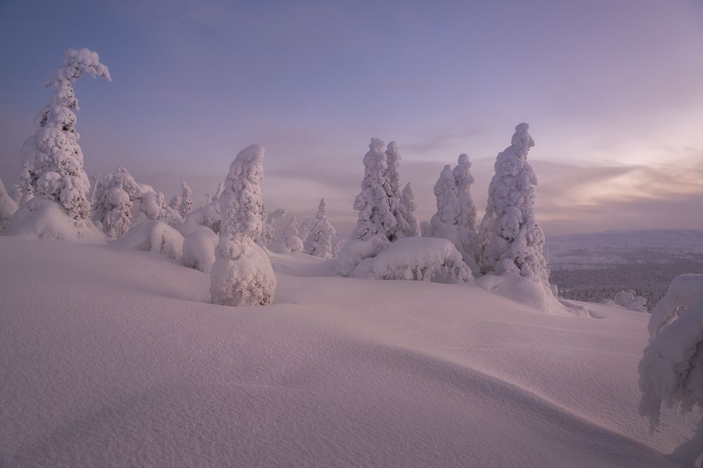 Photograph by Сергей Алтушкин