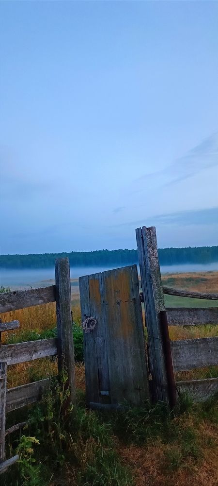 Туманное далëко