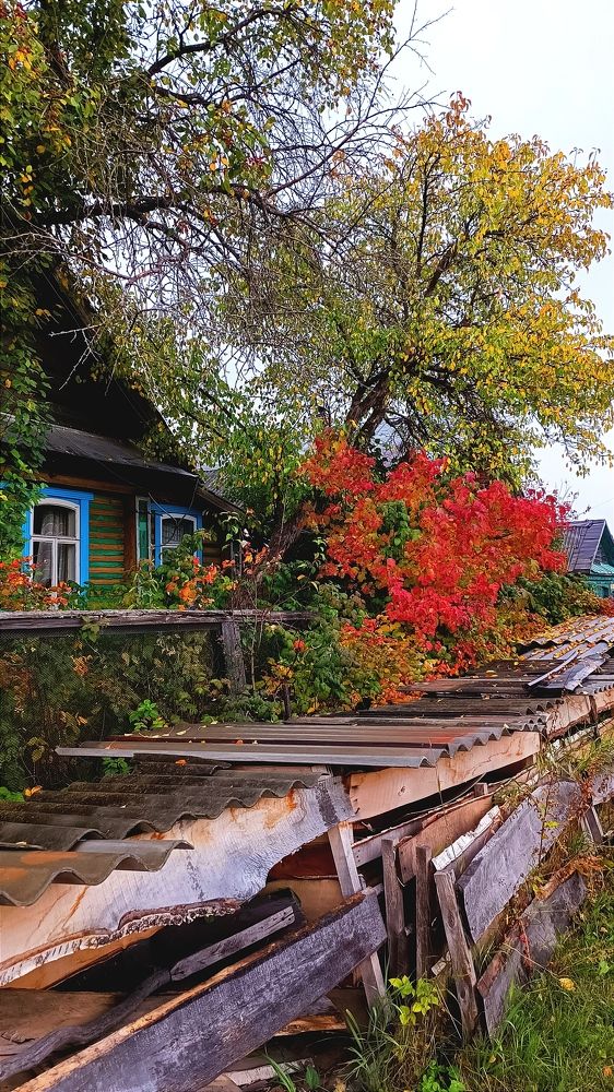 Осень в деревне