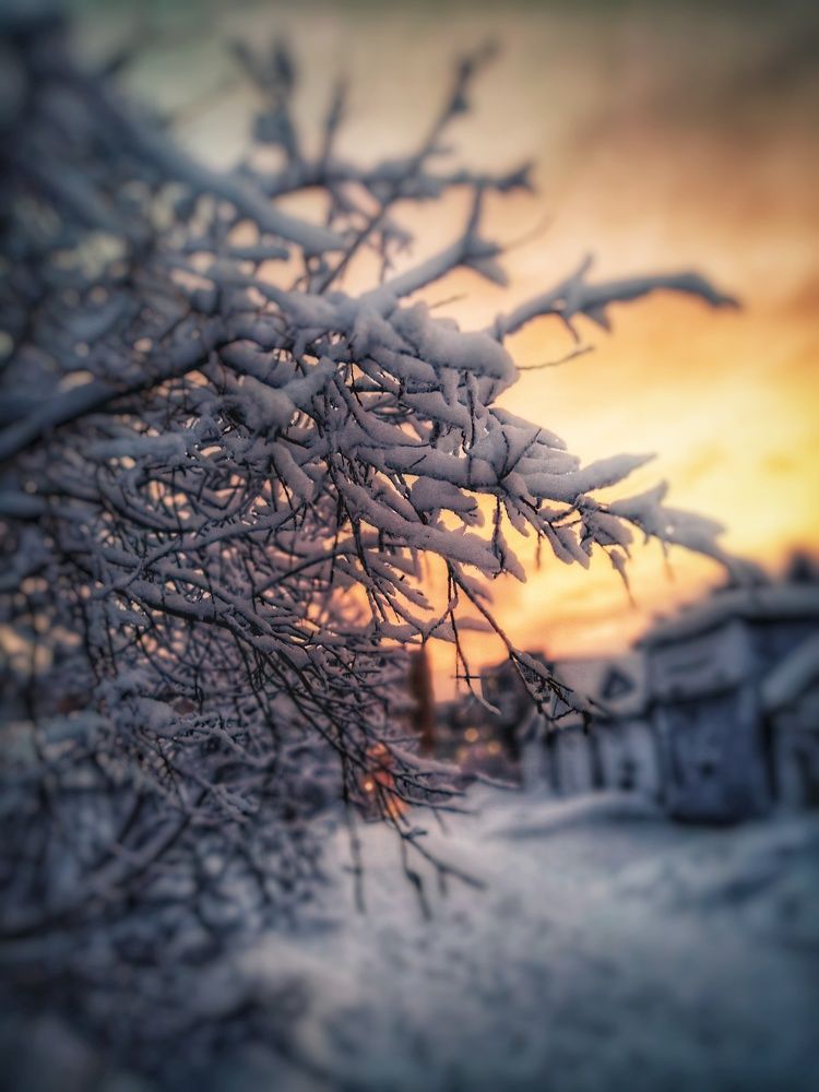 Фотография автора Татьяна Савранчук