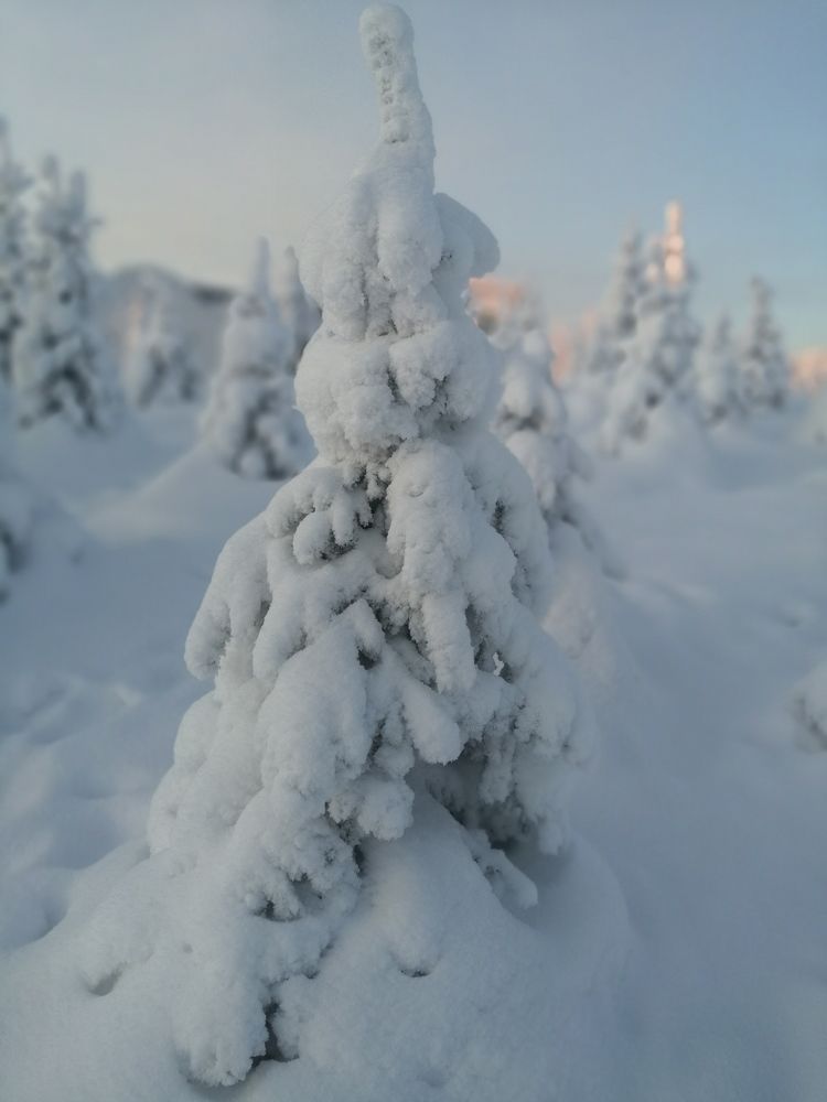 Фотография автора Татьяна Савранчук