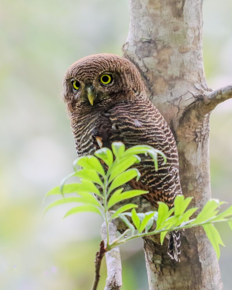 Photograph by Jemy Jose Mathew