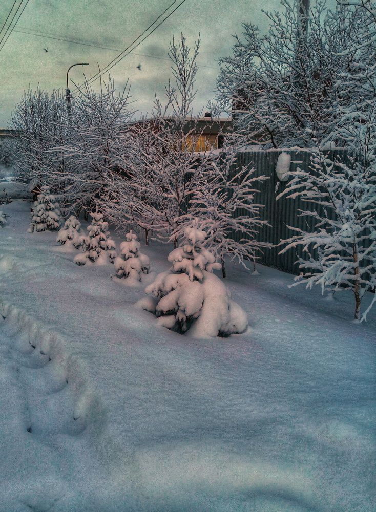 Фотография автора Татьяна Савранчук
