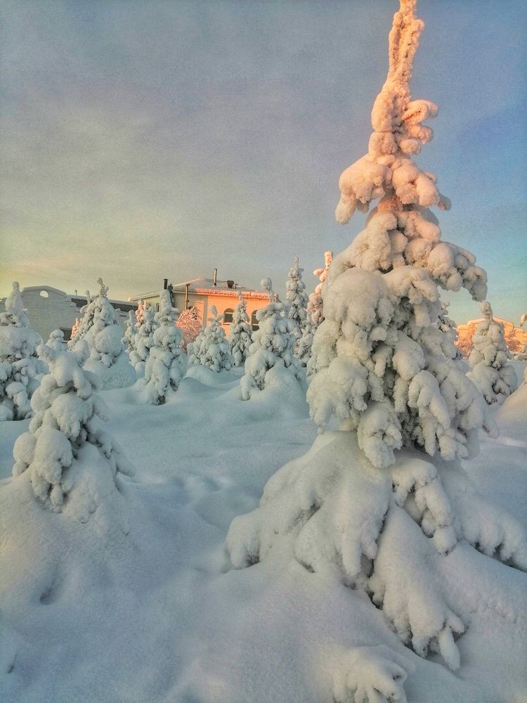 Фотография автора Татьяна Савранчук