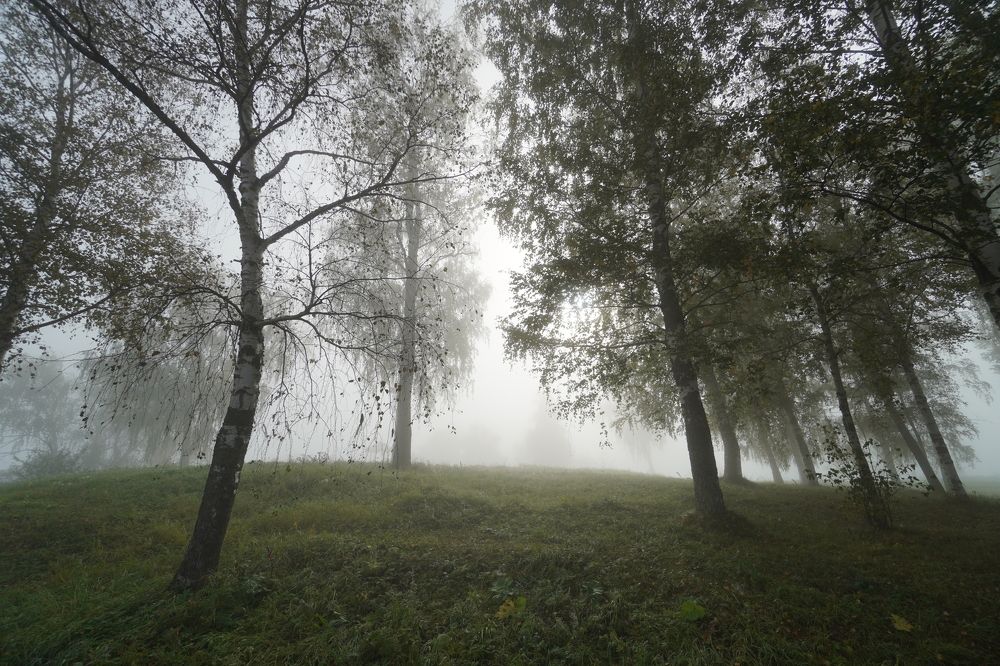 Фотография автора Сергей