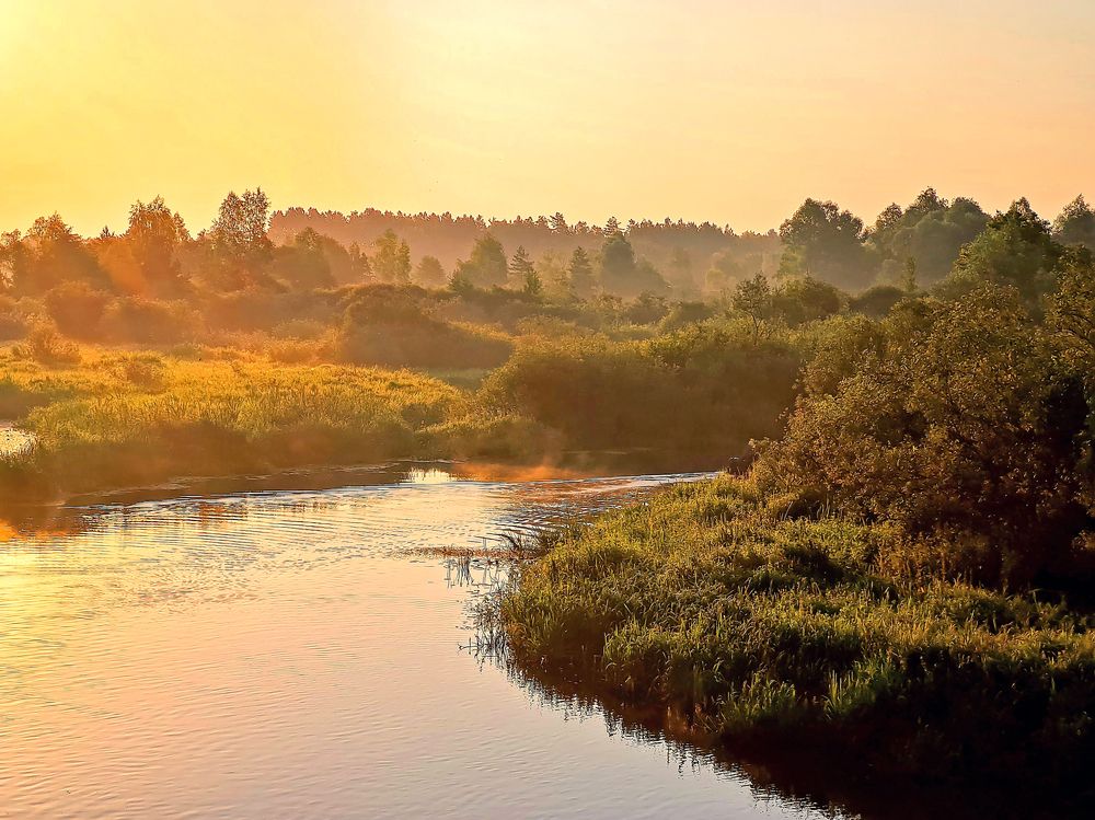 Рассвет на Полесье