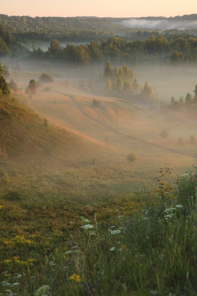 Photograph by Сергей Пюннинен