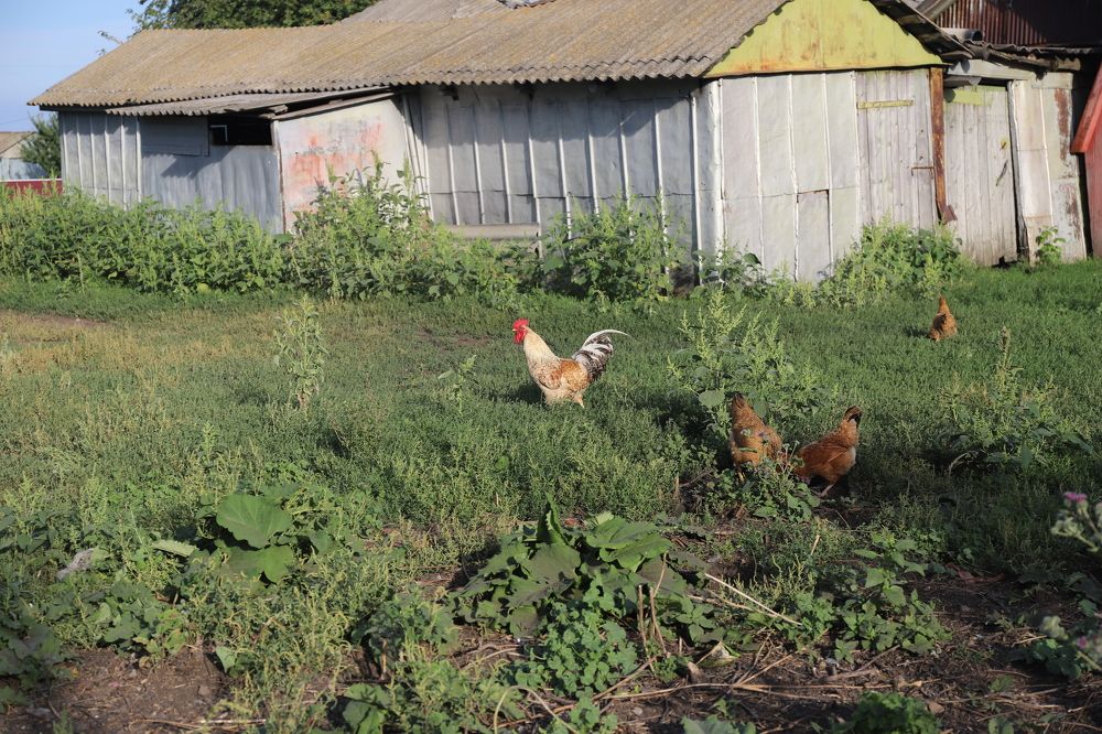 Photograph by Valeriy Bogushev