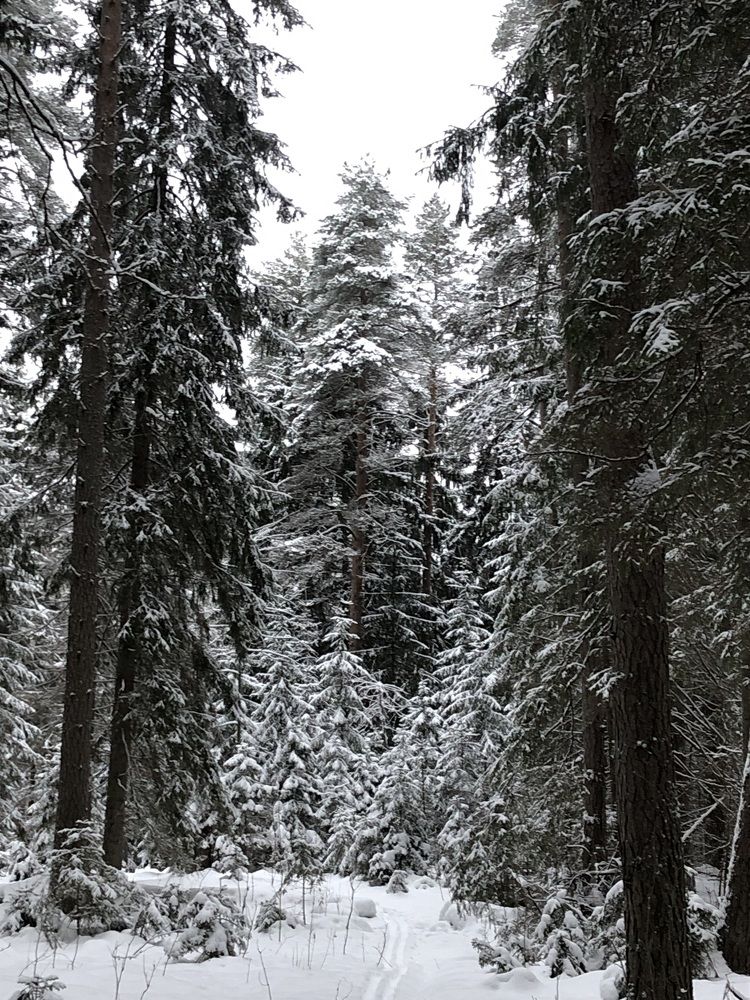 Photograph by Сергей Зоммер