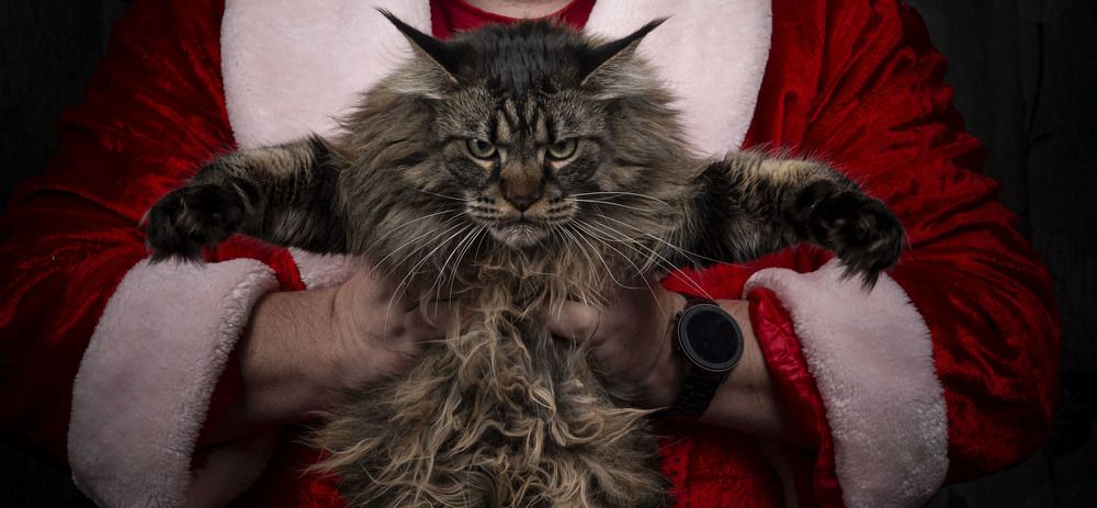 Photograph by Сергей Чупахин