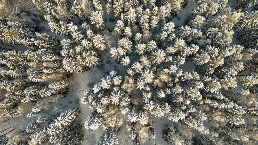 Photograph by Аркадий Старочкин