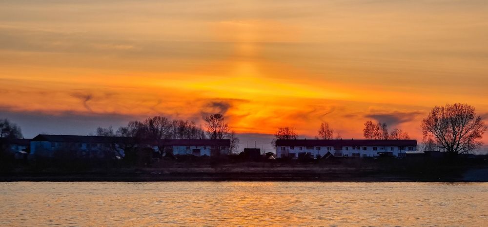 Photograph by Natasha Kim