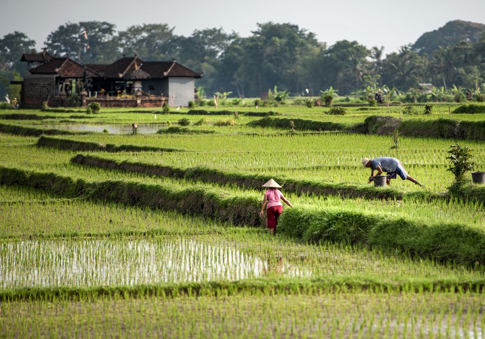 Photograph by Rana Jabeen