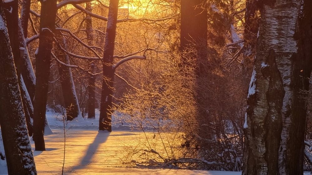 Photograph by Максим Кольцов