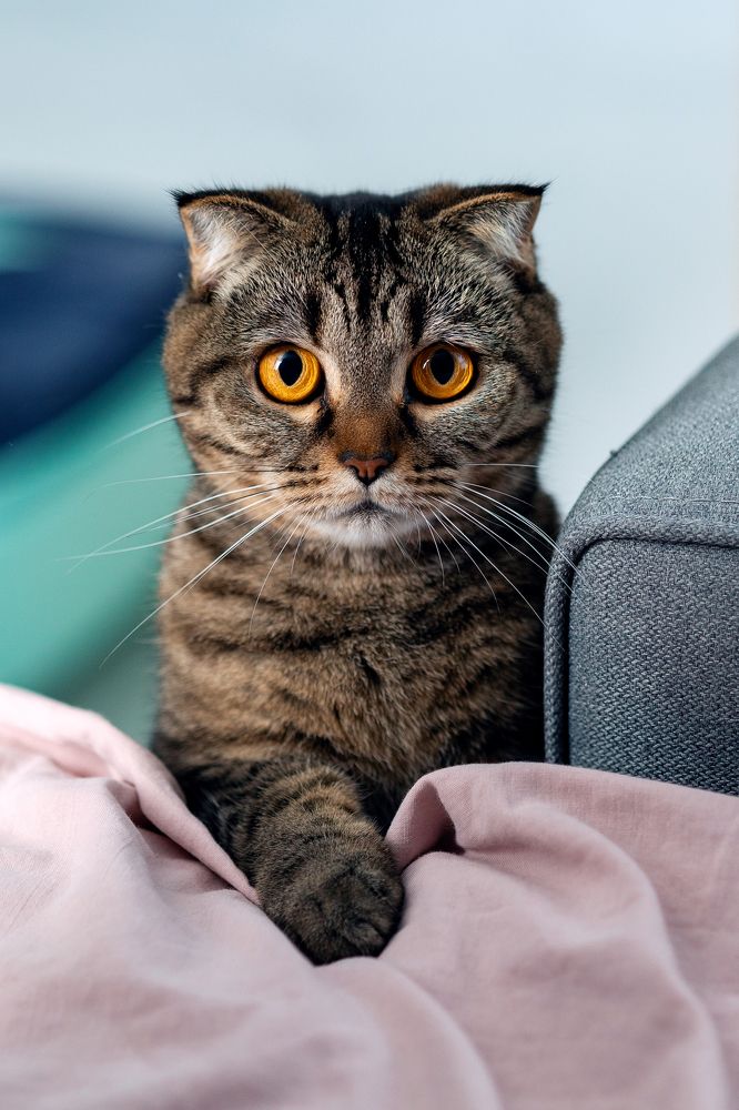 Photograph by Тамара