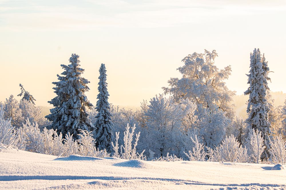 Белогорье. Пермский край.