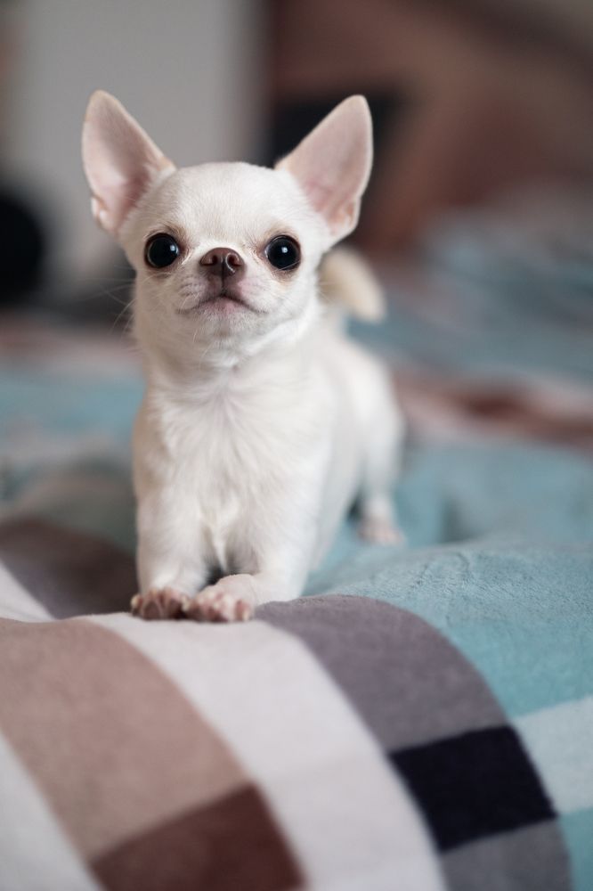 Photograph by Тамара