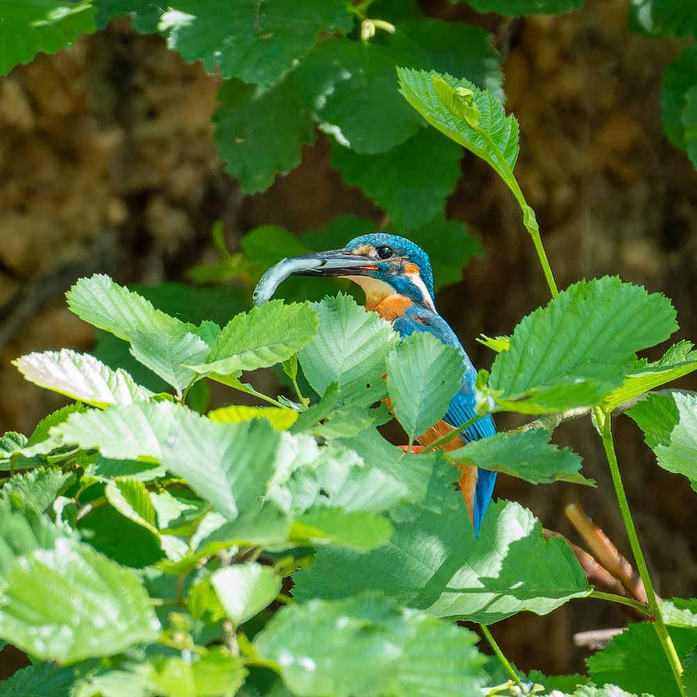 Photograph by Аркадий Старочкин