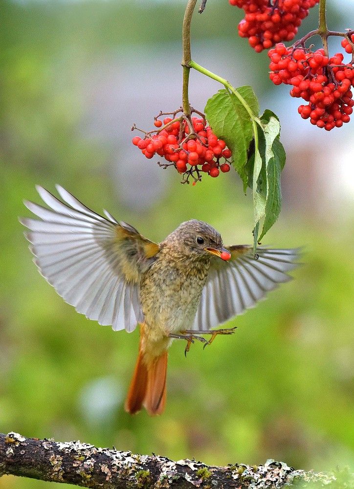 Хлебосольный август