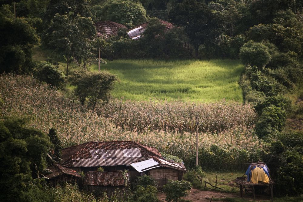 Фотография автора Rajvardhan Singh