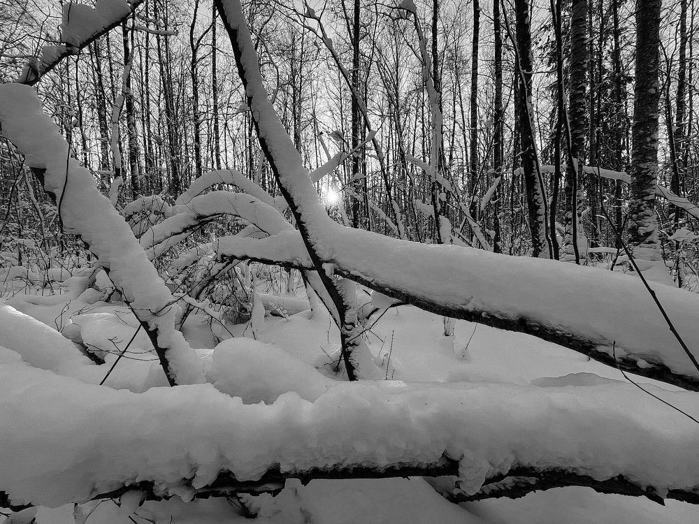 Руки...Зимы...!