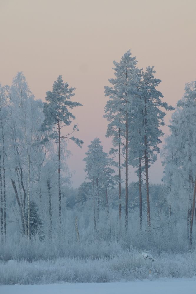 Photograph by Guzele Ivanova