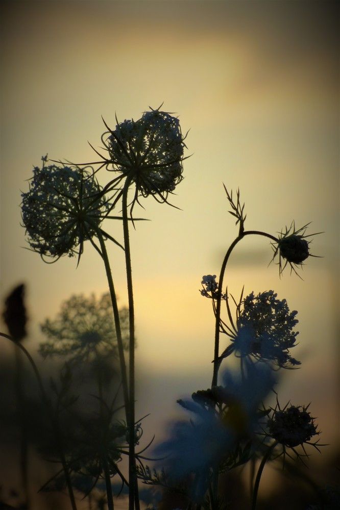 Photograph by Guzele Ivanova