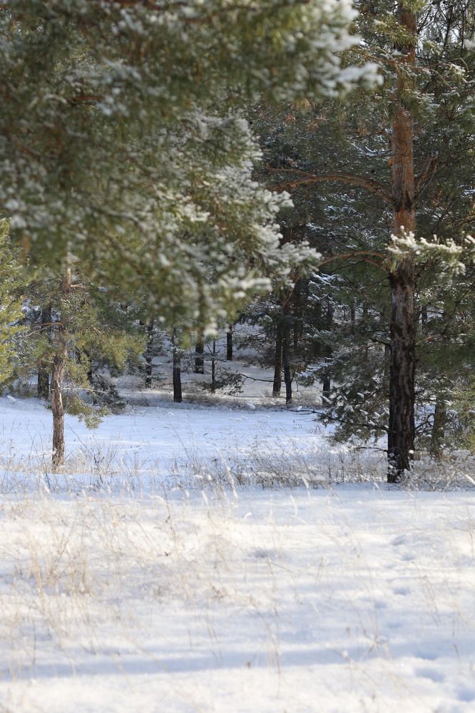 Photograph by Вероника Иванова
