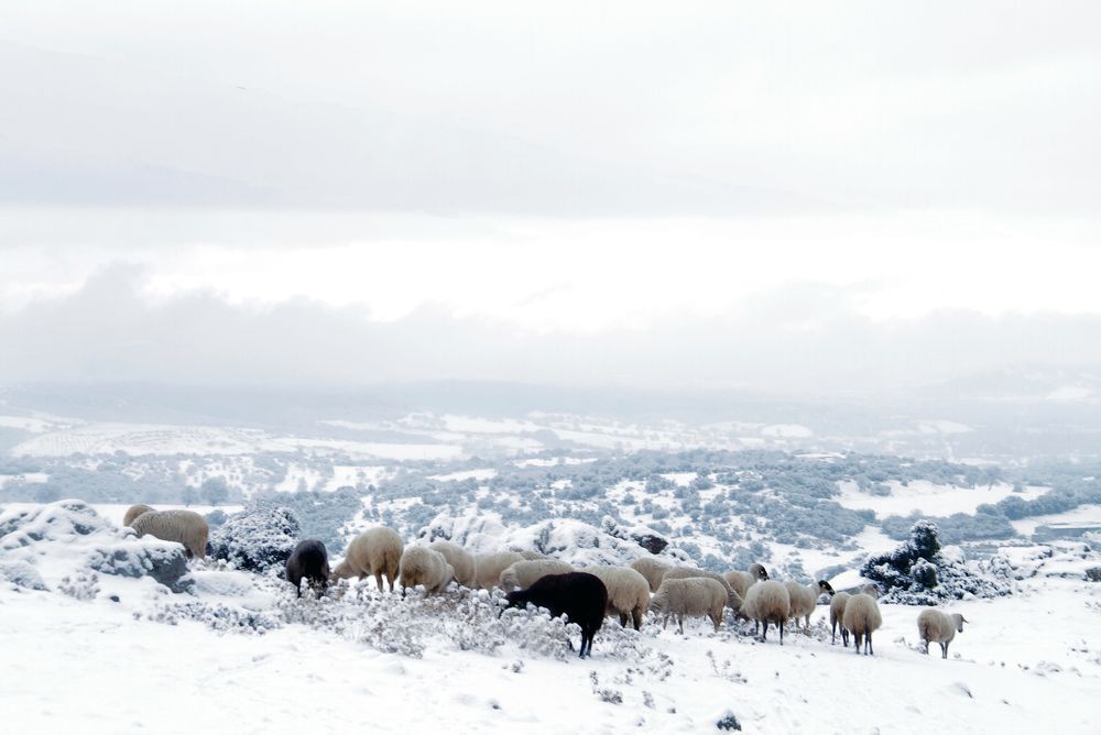 Photograph by Huseyin Mustafa Guvendag