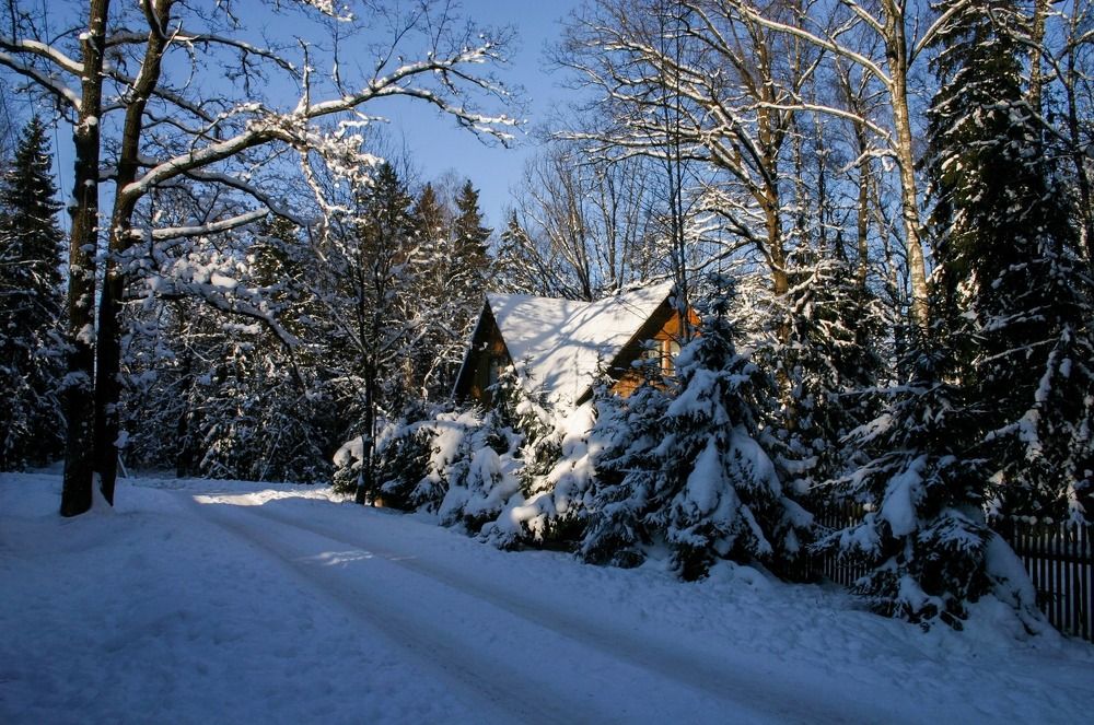 Photograph by Ольга Лысенко