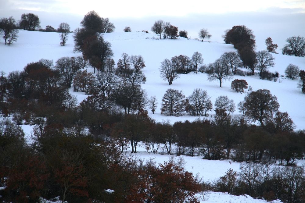 Photograph by Huseyin Mustafa Guvendag