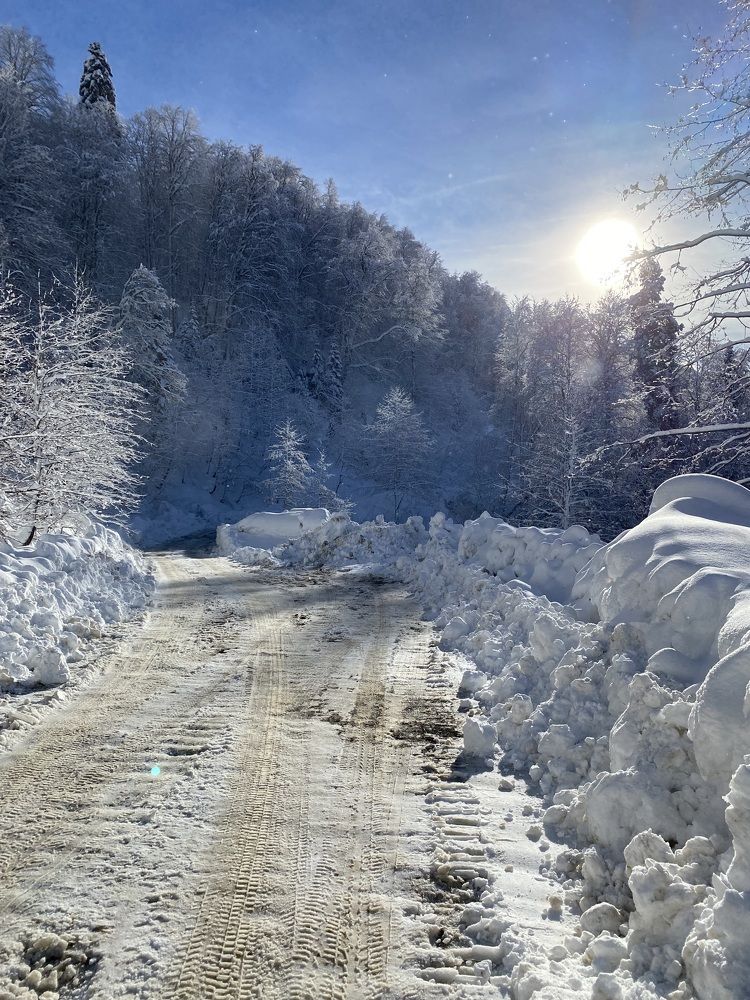 Photograph by Павел Савинский