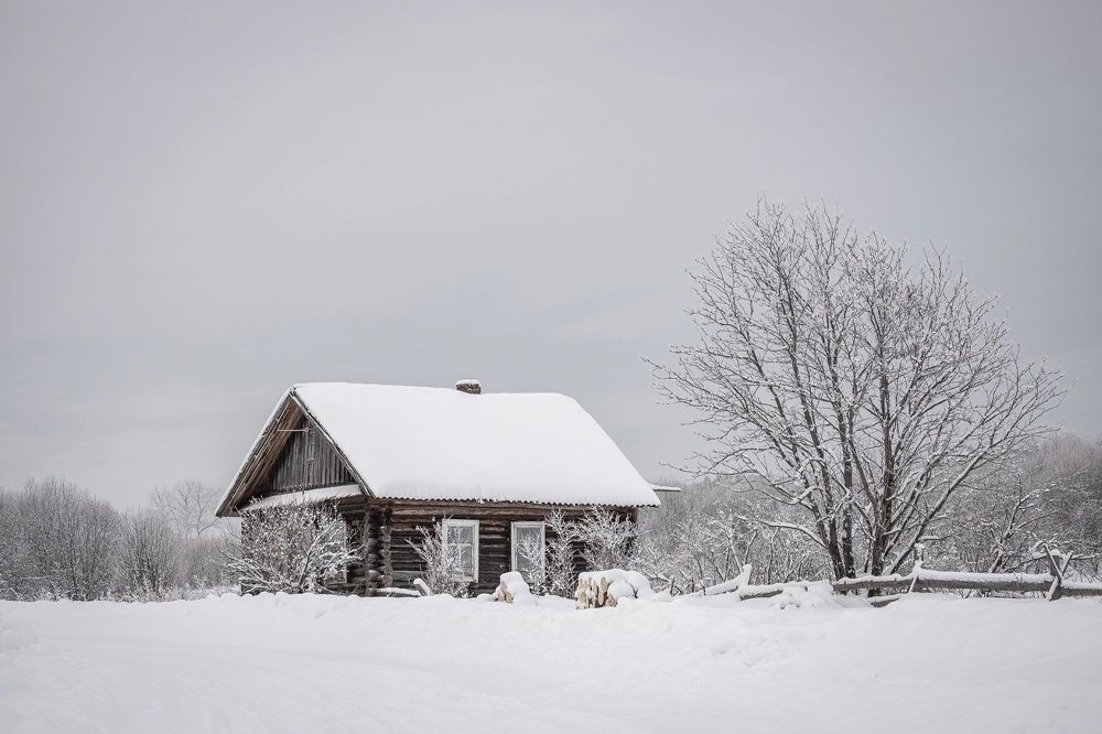 Photograph by Ольга Шиляева