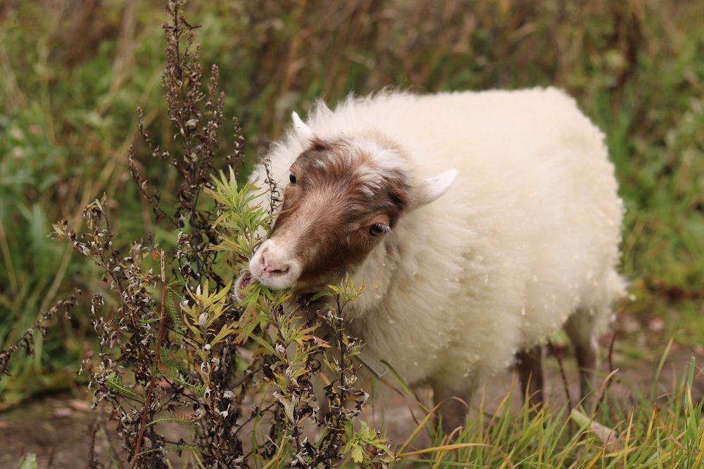Photograph by Сергей Пюннинен