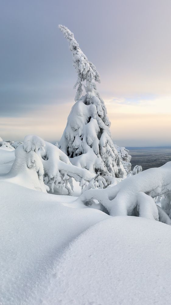 Photograph by Константин Маланин