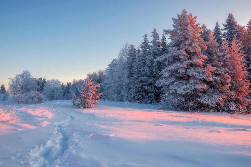 Photograph by Архипкин Александр