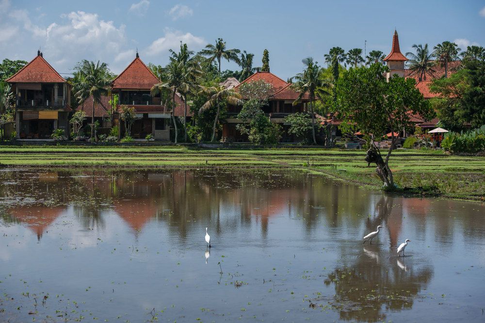 Photograph by Rana Jabeen