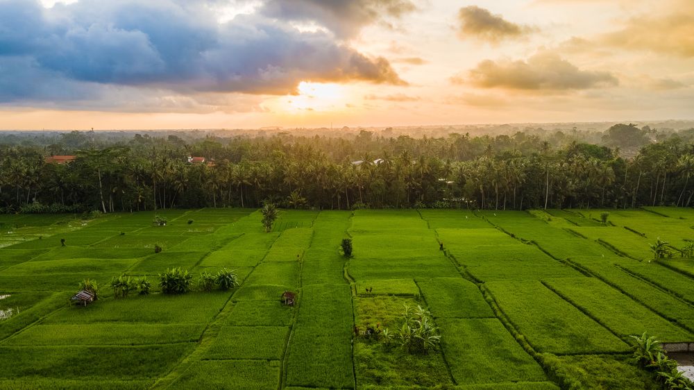 Photograph by Аркадий Старочкин