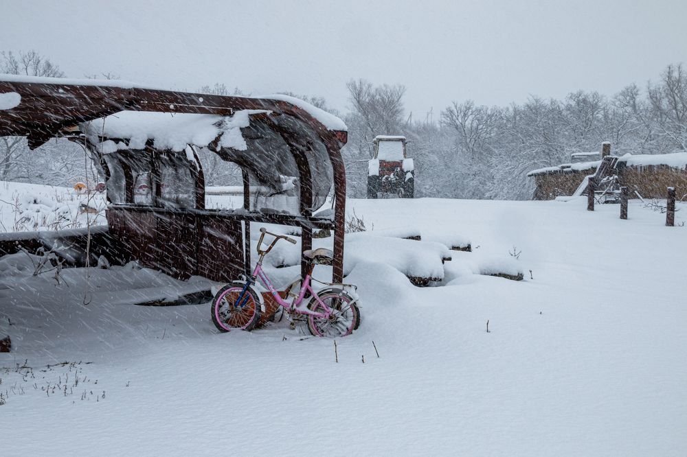 Photograph by Пиленгас Александр