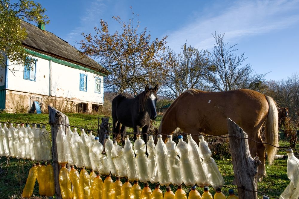 Photograph by Пиленгас Александр