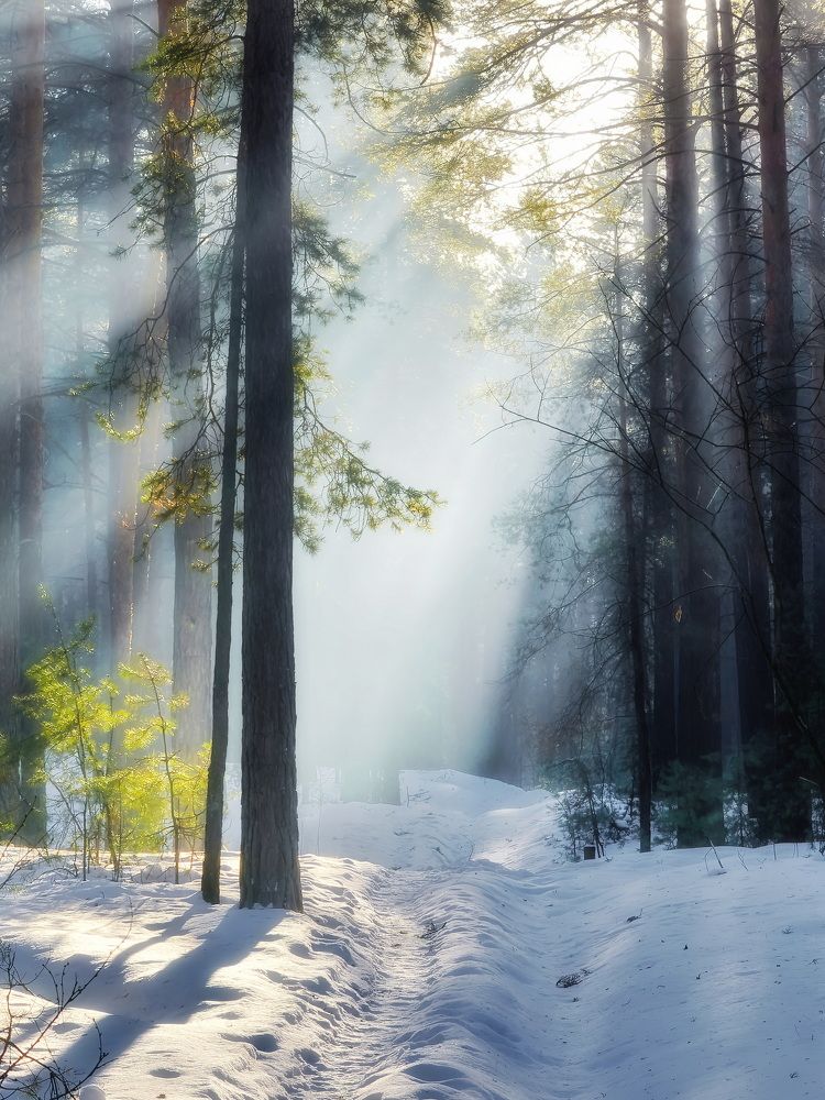 Photograph by Кузнецов Дмитрий