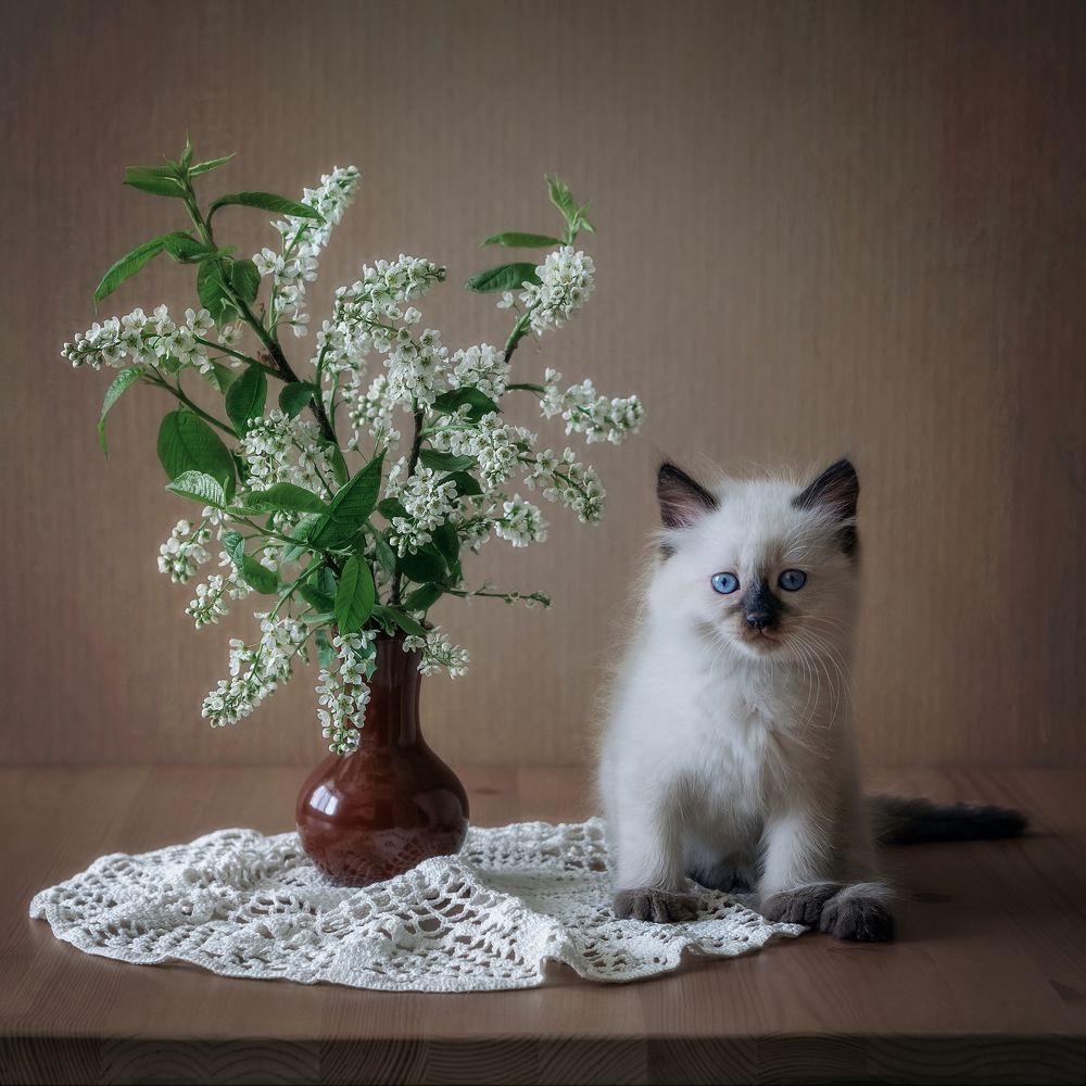 Photograph by Минаева Татьяна