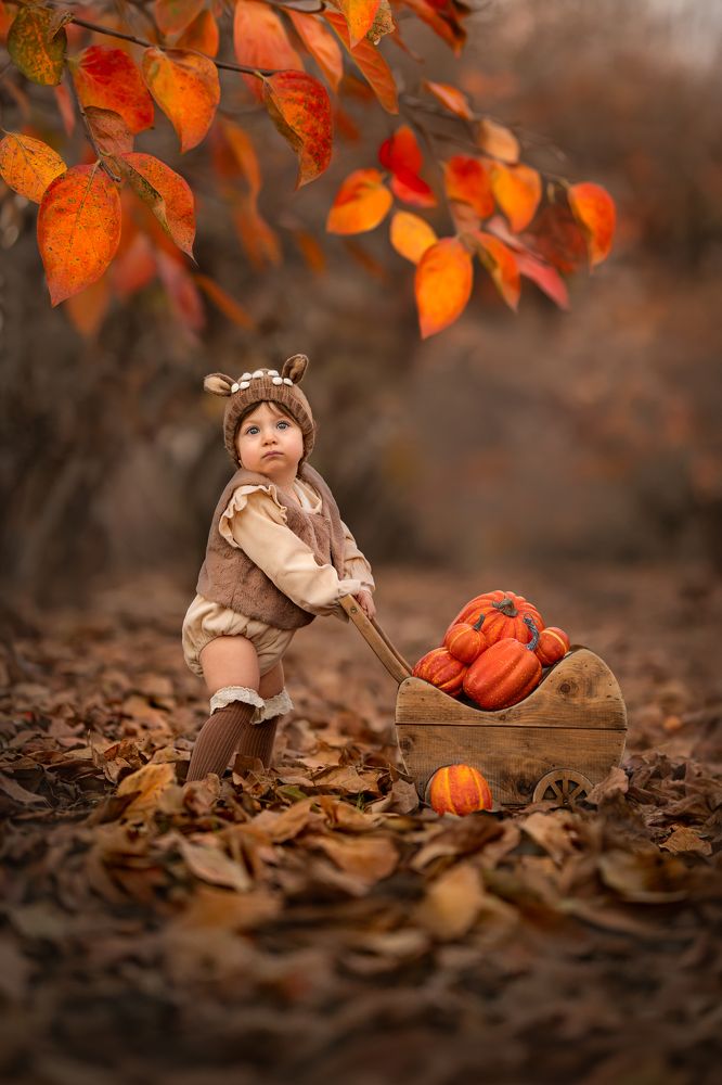 Photograph by Arie Abramov