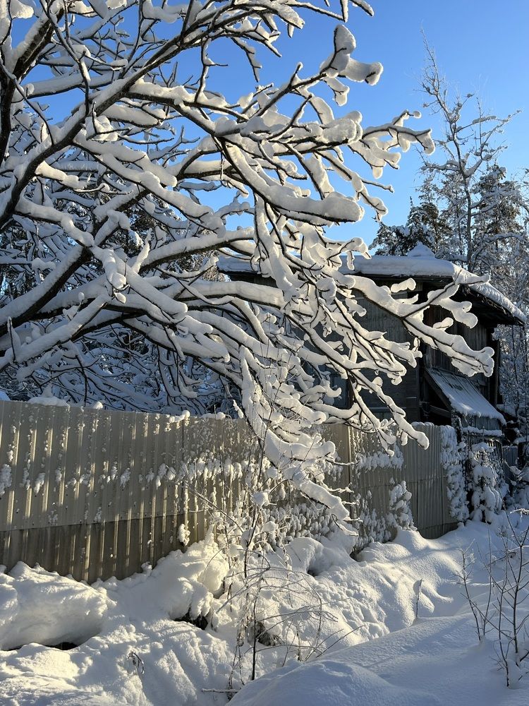 Photograph by Виталия