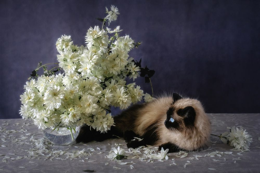 Photograph by Минаева Татьяна