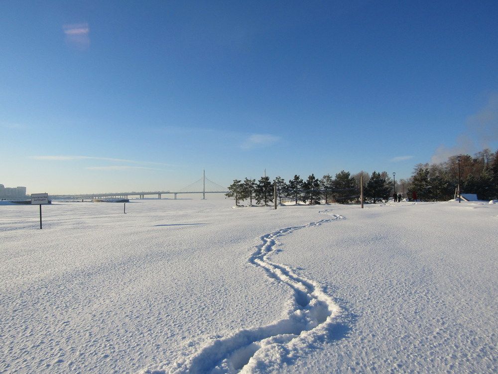 Photograph by Татьяна Смирнова