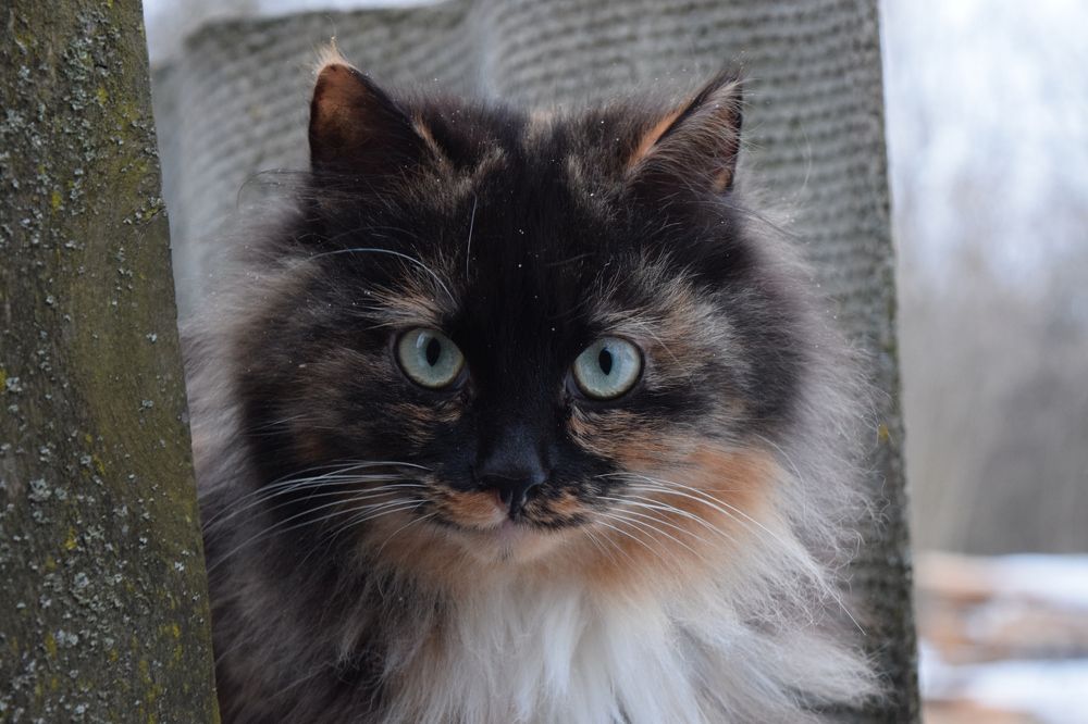 Photograph by Владислав Циклинский