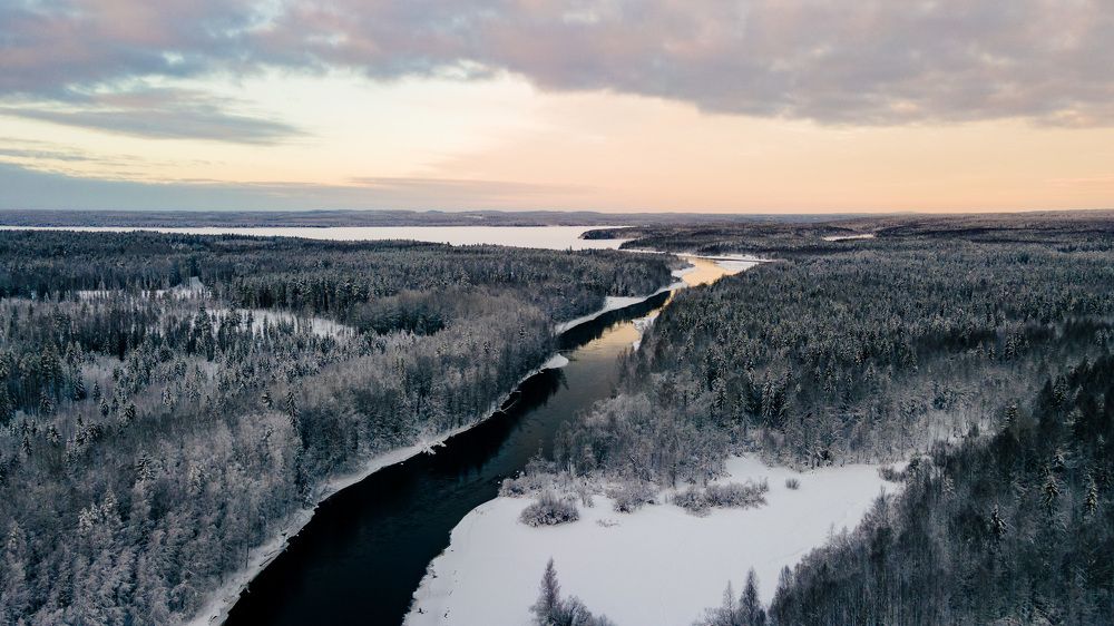 Photograph by Аркадий Старочкин