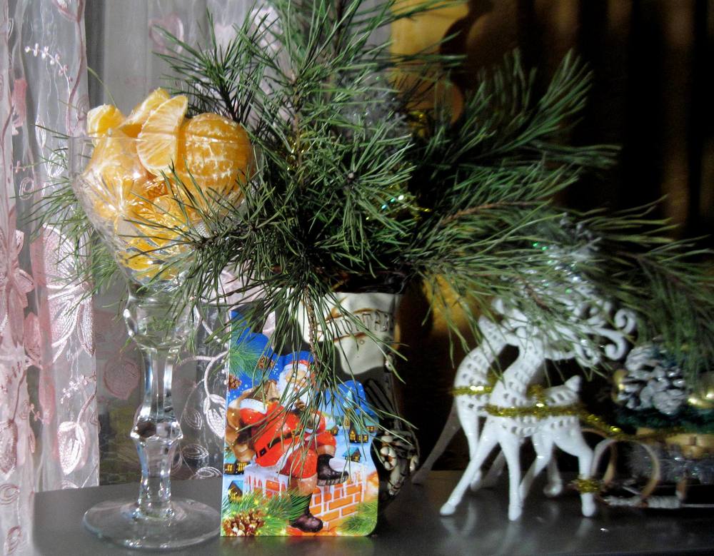 Photograph by Viktoriia Rusanova